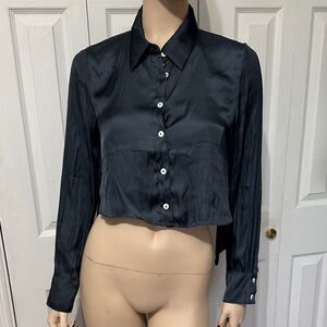 Mustard Seed Blue Satin Button Down Shirt